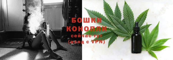 ПСИЛОЦИБИНОВЫЕ ГРИБЫ Медвежьегорск