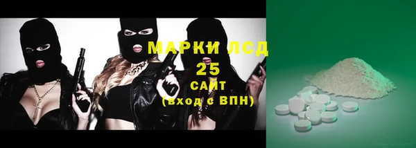 ПСИЛОЦИБИНОВЫЕ ГРИБЫ Медвежьегорск
