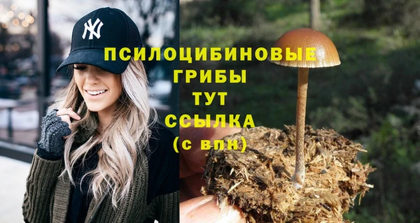 гидра Медногорск