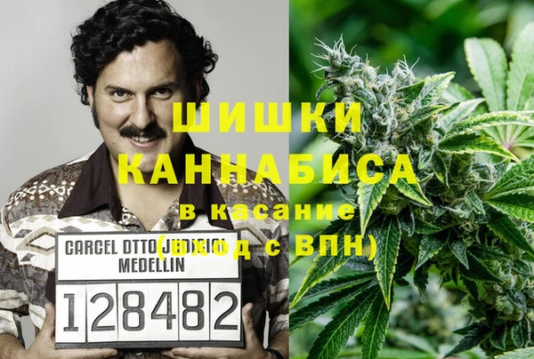 ПСИЛОЦИБИНОВЫЕ ГРИБЫ Медвежьегорск