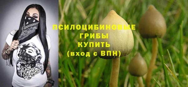 мескалин Мегион