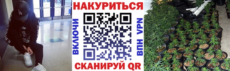 купить   Сысерть  Каннабис OG Kush 